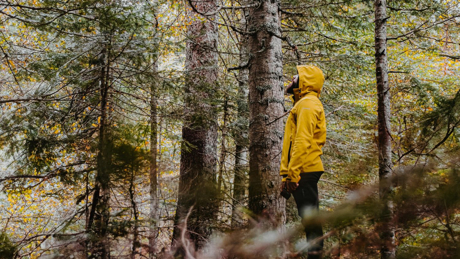 Sustainable Style: Looking Good and Doing Good